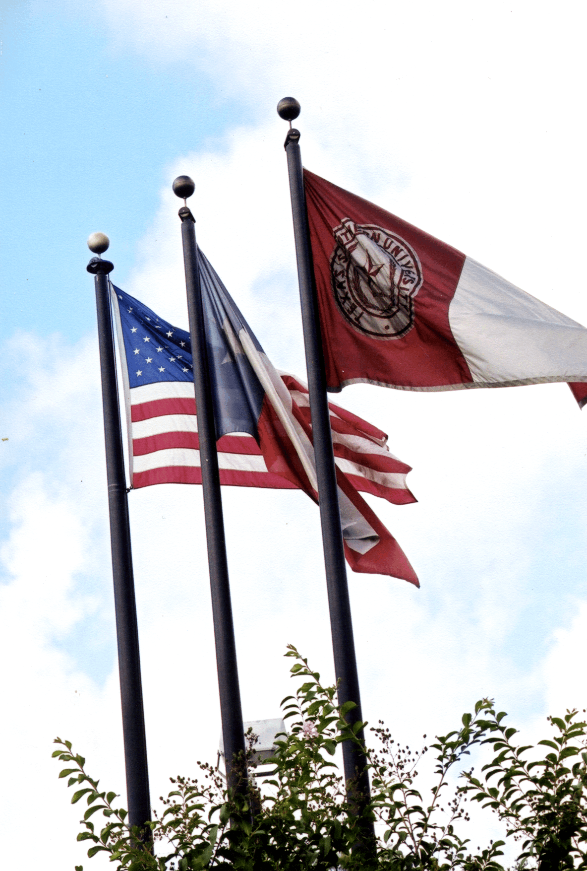 Texas Southern University Flags